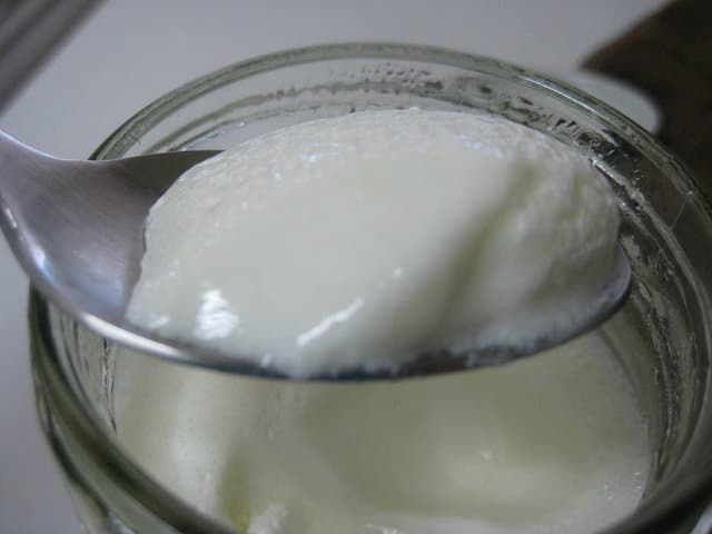 Finished Yogurt on a Spoon
