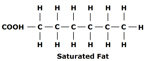 Saturated Fat Molecules 58