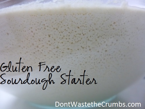 How to Make a Gluten-Free Sourdough Starter
