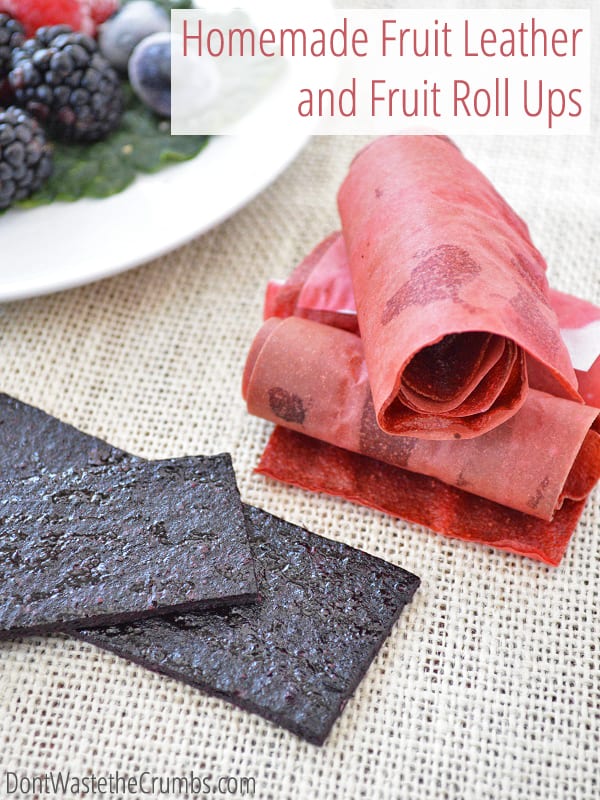 homemade fruit leather and fruit roll ups