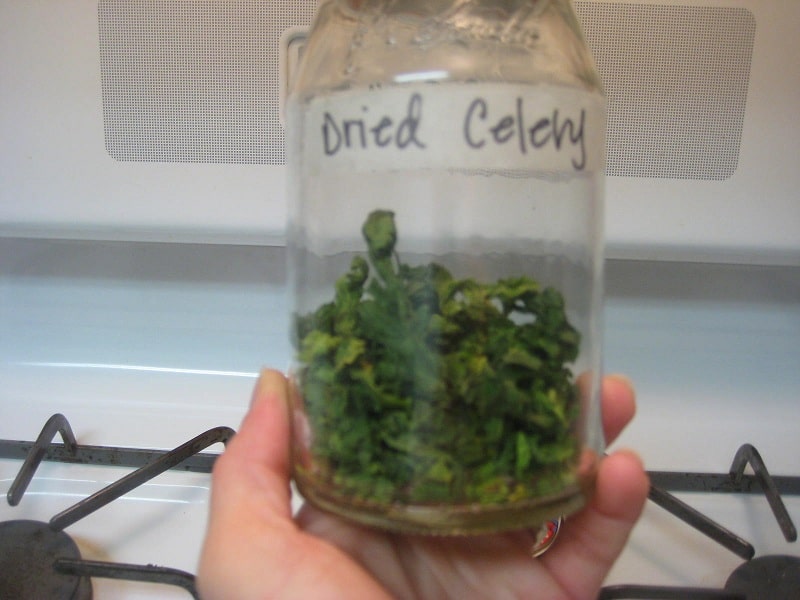 Dried Celery in a Jar