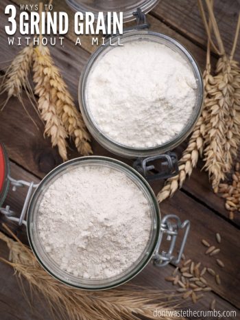 Have you ever wondered how to make flour without a grain mill? I tested out three different methods to see what works best!