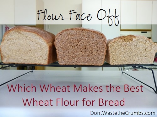 The Best Bread is Made with Fresh Ground Grains