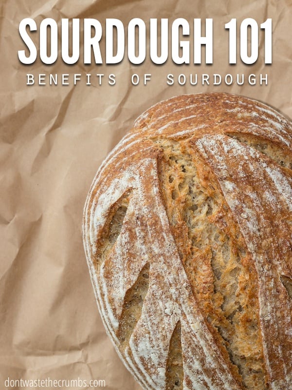 Everything you need to make your own sourdough bread. We ship