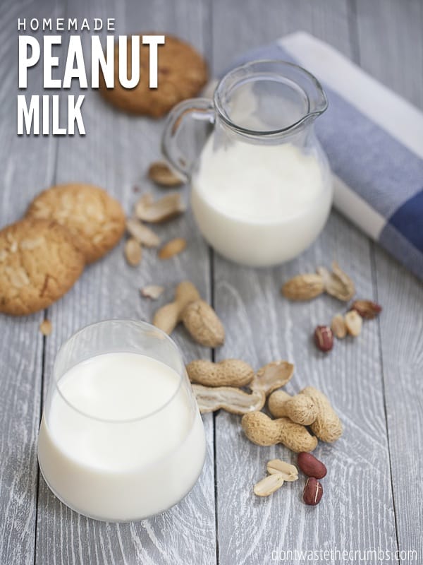 Dairy Alternative: Hausgemachte Erdnuss Milk...no nuss ist immun gegen unser Experimentieren mit milchfreien Milchalternativen. Machen Sie Erdnussmilch zu Hause, in nur wenigen Minuten! :: DontWastetheCrumbs.com