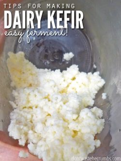 A jar filled with milk kefir grains and text overlay that says, "Tips for Making Dairy Kefir Easy Ferment".