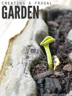 Wondering how to start a frugal urban garden bed? These practical tips will help you start the best budget-friendly garden from scratch! :: DontWastetheCrumbs.com