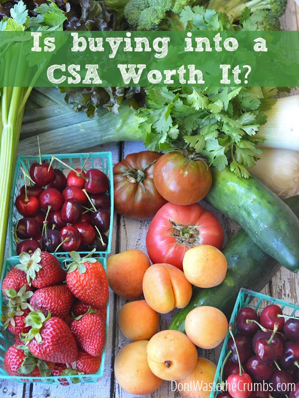 Is a CSA worth it? We've weighed the pros and cons, done the math and came up with an answer that might surprise you. A must read before committing! :: DontWastetheCrumbs.com
