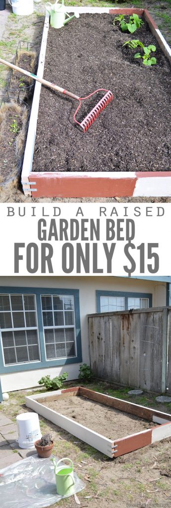 Two images, the first is of a raised garden bed, filled with mulch and a garden rake. The second image is of a raised bed being constructed. Text overlay says, "Build a Raised Garden Bed for Only $15".