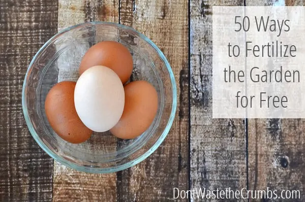 50 Ways to Fertilize the Garden For Free: Save money and make your garden grow!