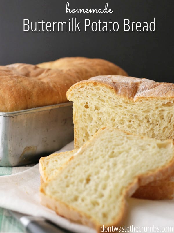 Potato Buttermilk Bread,Rudbeckia Laciniata