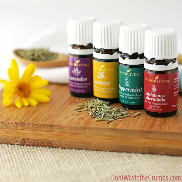 Do you use essential oils? Where do you buy them? This article explains why you shouldn't buy essential oils from Amazon and where you should buy them instead. 