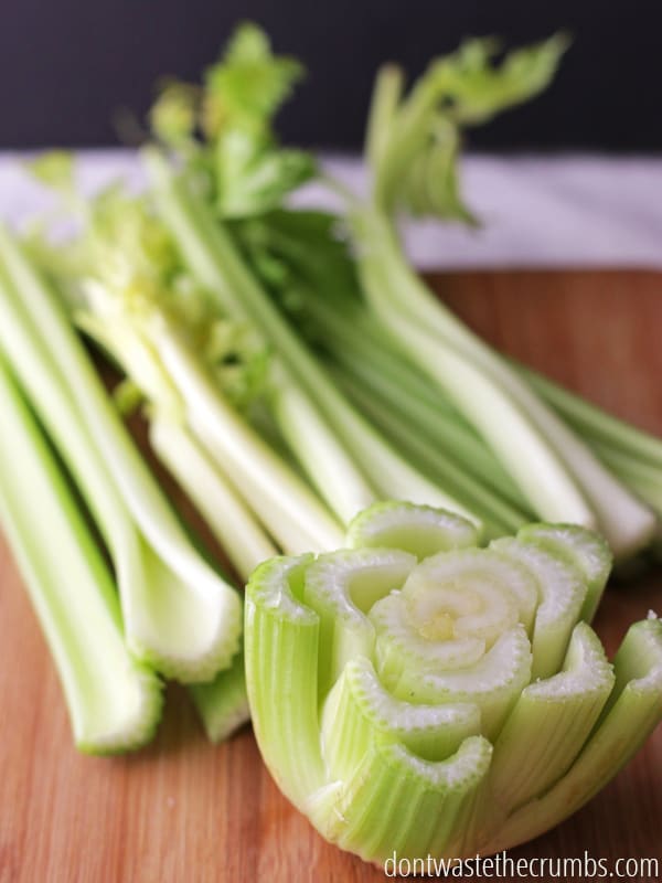 Celery stalks cut off from the base.