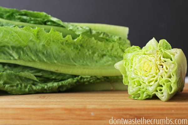 Romaine lettuce on a cutting board.