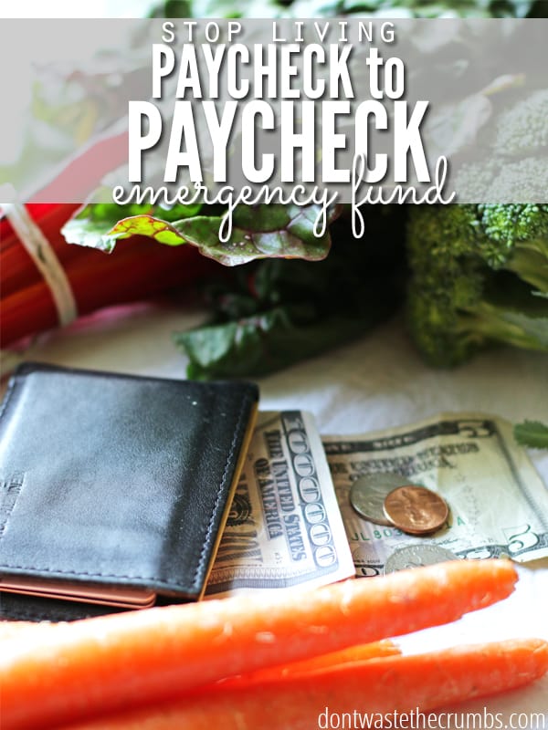  Basic budget tip: Stop living paycheck to paycheck by creating an emergency fund! Regardless of how much extra you have each month, this should be high on your priority list for saving money in the long run. Real tips from real people who made it work! :: DontWastetheCrumbs.com