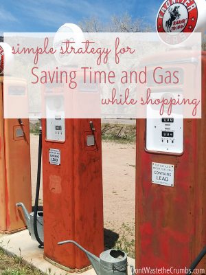 My Simple Strategy for Saving Time and Gas While Shopping | Don't Waste ...