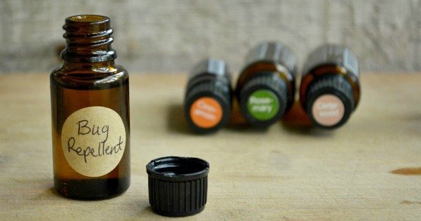 Homemade Bug Repellent with Essential Oils