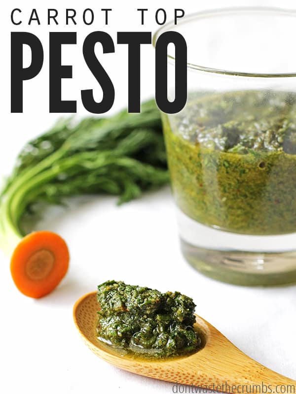 This easy recipe for delicious carrot top pesto is incredibly versatile - no cheese, you can use any nut you want and any herb you want. Plus it tastes amazing! Save money by making carrot top pesto and avoid thrwoing food in the trash can - this recipe costs less than half of store-bought pesto! :: DontWastetheCrumbs.com