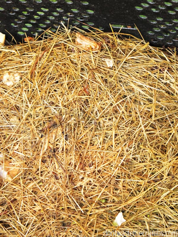 Inside of compost bin.