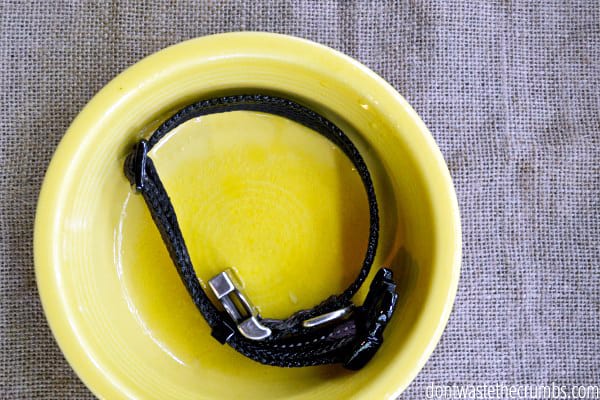 Make your own flea and tick collar with essential oils with this simple DIY recipe. A short soak & overnight dry keeps flea and ticks off dogs for a month! A great budget tip and a simple way to save money on pets! :: DontWastetheCrumbs.com