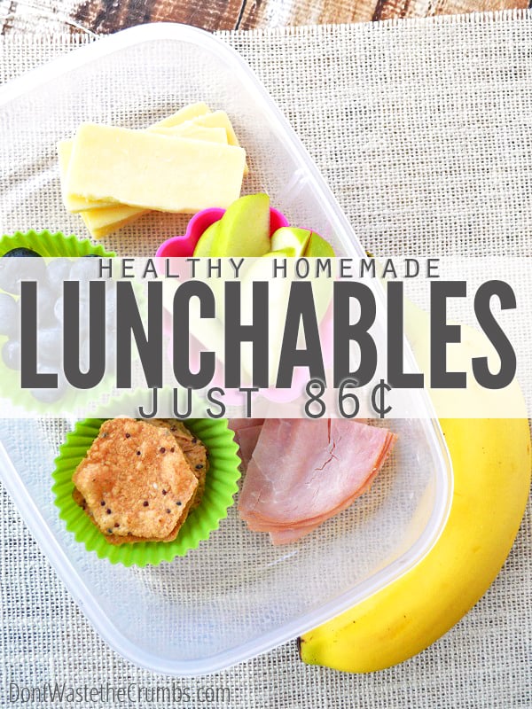 Healthy Homemade Lunchables