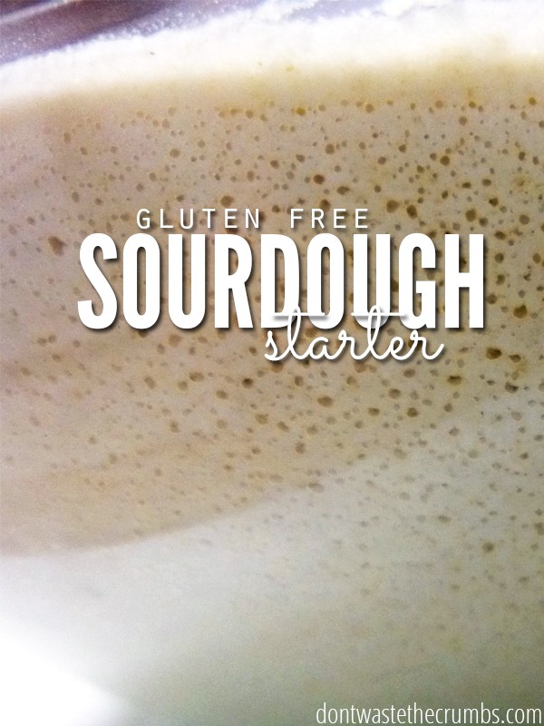 This step-by-step tutorial on making a gluten-free sourdough starter with brown rice flour. It can easily adapted to any gluten-free flour! :: dontwastethecrumbs.com