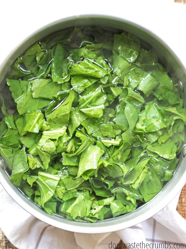 Large pot with several bunches of greens chopped up, in water ready to be blanched. 