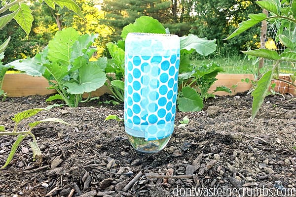 DIY Garden Plastic Wrap Ideas: Tips For Gardening With Plastic Wrap