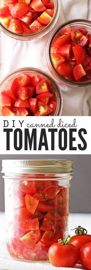 Beginner’s Guide to Canning Tomatoes