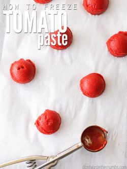 Can you freeze tomato paste? Instead of throwing out the little bit of tomato paste left in the can, use this tutorial on freezing tomato paste!