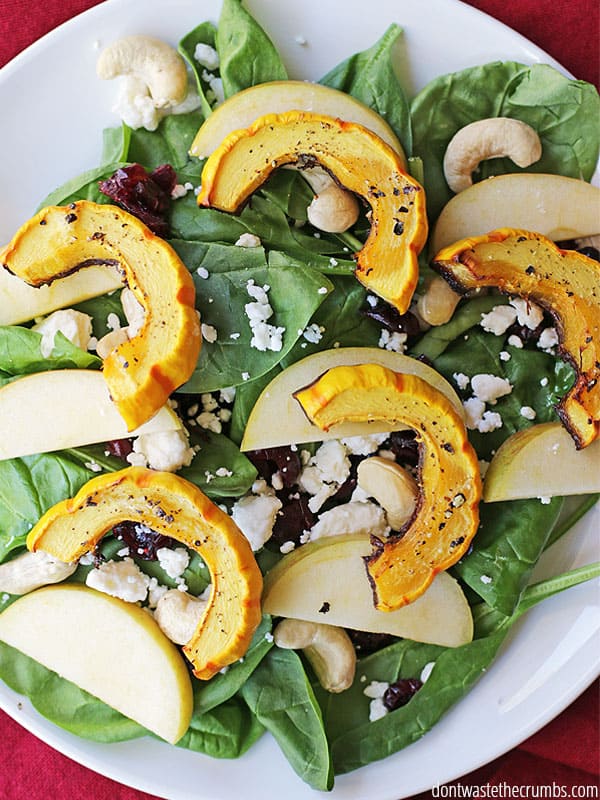 Oh man, this winter salad is SO GOOD! It's a delicata squash salad with apples and cranberries and a maple citrus vinaigrette and it is BY FAR my favorite way to eat delicata squash. I love the fresh, fall ingredients and even my picky eaters cleared their plate! A great main dish salad that's less than $5 - put it on your winter menu for sure! :: DontWastetheCrumbs.com