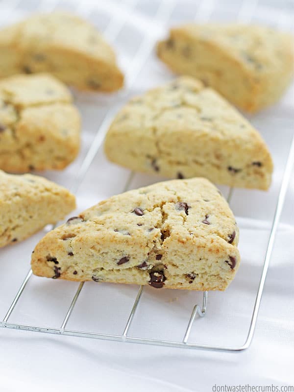 Freshly baked chocolate chip scones.