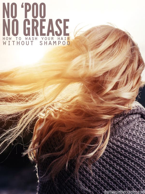 No Poo No Grease Cover