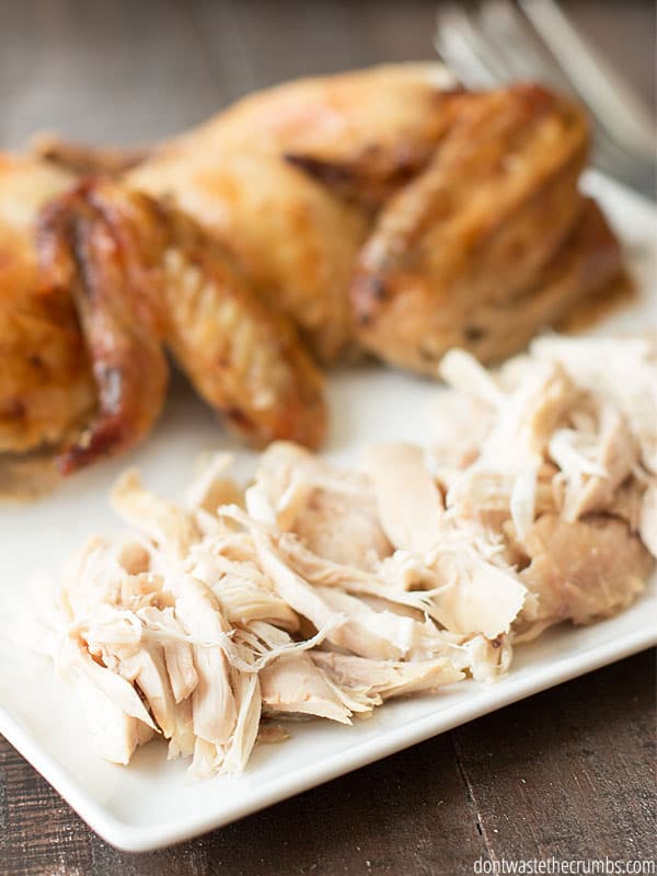 Shredded chicken and whole chicken on a white square plate.