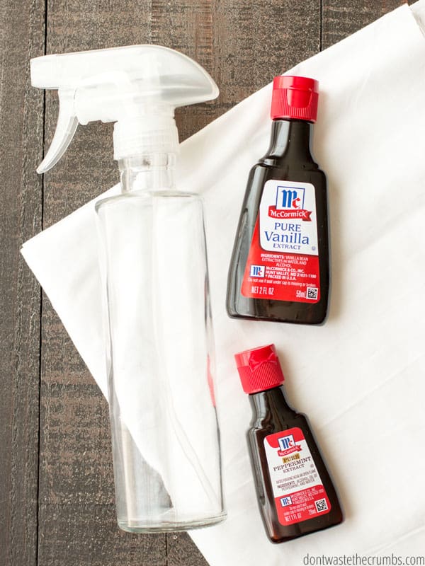 Spray bottle with a bottle of vanilla extract and a bottle of peppermint extract on a table. 