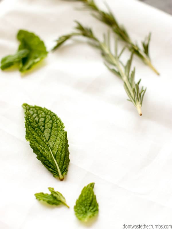 Fresh herbs on a table. These will help repel bugs. 