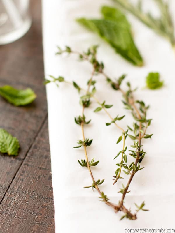 Fresh herbs on a table.