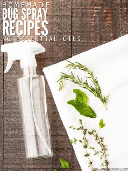 Keep bugs away naturally with these all natural homemade bug spray recipes, made without essential oils. Just a few ingredients you have in the kitchen.