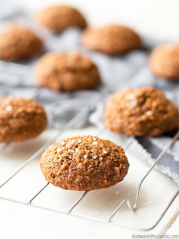 I'm in love with molasses breakfast cookies made without sugar. They're sweetened with molasses and honey and whole grains. Healthy enough for breakfast! :: DontWastetheCrumbs.com