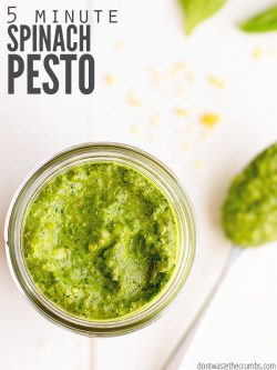 When you have a bag of spinach about to go bad, just whip up a batch of spinach pesto in just 5 minutes. It’s frugal, healthy, and fast! Add it to sandwiches or fresh pasta for an easy meal. Drizzle over homemade zoodles or homemade pizza!