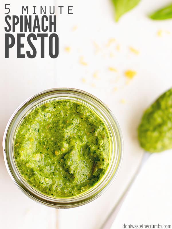 Don't let spinach wilt in the fridge - make spinach pesto instead. Ready in 5 minutes, it's an easy sauce for a quick weeknight meal. :: DontWastetheCrumbs.com
