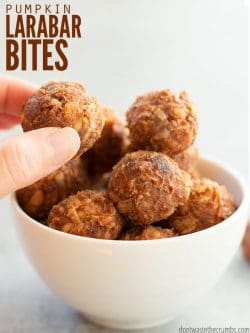 Make pumpkin larabar bites at home in 5 minutes with a few basic ingredients. Great for school lunches, snacks and cost 50% less than the store. :: DontWastetheCrumbs.com