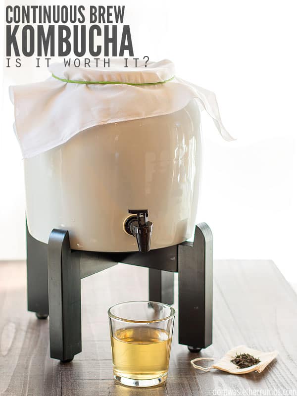 Honest thoughts on a kombucha continuous brew kit including pros, cons and why some are better than others. Make sure you get the right kit for you before you buy. :: DontWastetheCrumbs.com