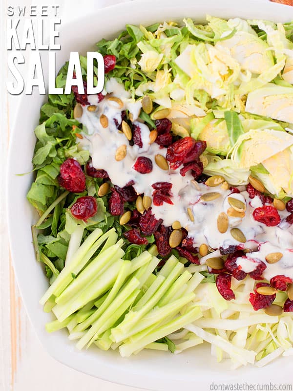 Incredibly delicious recipe for sweet kale salad with cranberries, almonds, & a creamy homemade greek yogurt dressing. Healthier than Costco's bagged salad! :: DontWastetheCrumbs.com