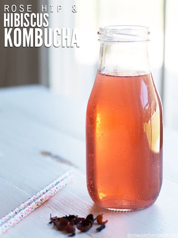 Boost your immune system with the benefits of rose hip and hibiscus kombucha. The idea for this kombucha flavor came from my daughter, and she loves it! :: DontWastetheCrumbs.com