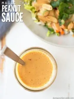 Ridiculously easy Thai peanut sauce recipe that's slightly spicy, made in the blender and doubles as a dressing. You can add it to stir-fry, noodles, salads, and satay! :: DontWastetheCrumbs.com