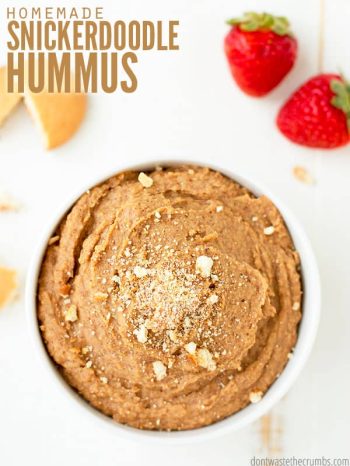 My kids love this sweet dessert hummus recipe for snickerdoodle hummus. It's a slight twist on cookie dough hummus, but just as fast, easy and delicious! :: DontWastetheCrumbs.com