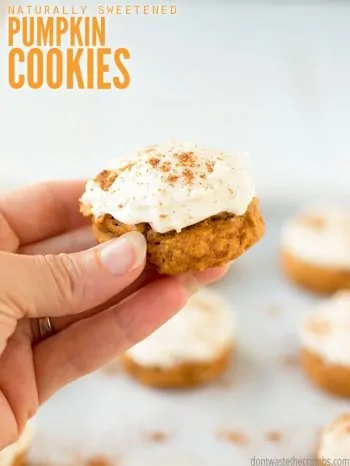 Easy recipe for soft & chewy pumpkin cookies made with healthy ingredients, like fresh pumpkin puree! Iced with naturally sweetened cream cheese frosting. :: DontWastetheCrumbs.com