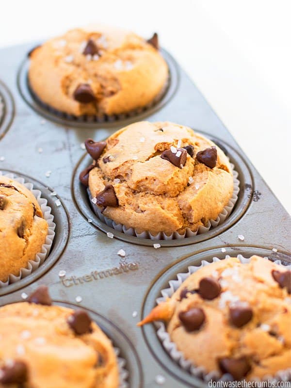 These delicious baked muffins are generously topped with chocolate chips and a light sprinkle of sugar.