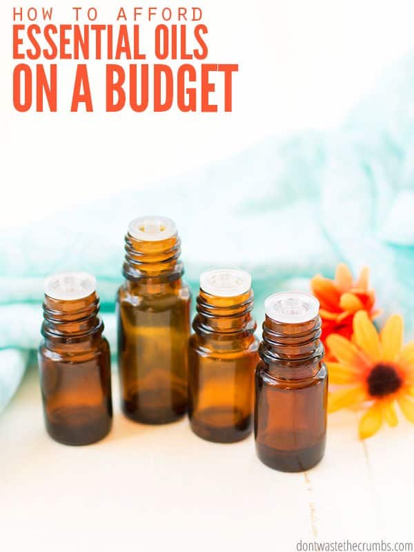 Four amber colored essential oil bottles next to a daisy flower. Text overlay How to Afford Essential Oils on a Budget. 